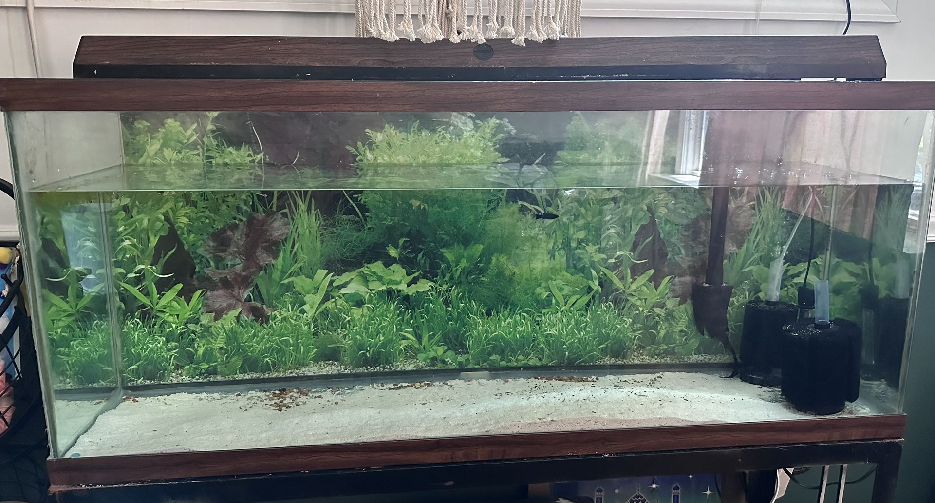 55 Gallon Tank With Metal Stand
