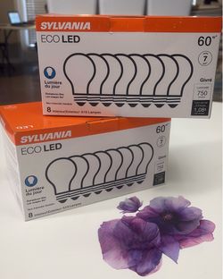 Bombillos LED