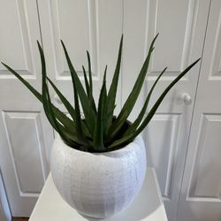Faux Plant In Ceramic Pot. 