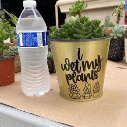 I Wet My Plants 