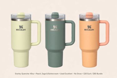 Stanley Tumblers 40oz Used Excellent No Straw - $30 Each $80 Bundle