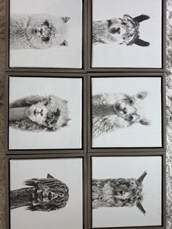 Kate & Laurel Framed Alpaca Canvas Prints – Set of 6, 13” x 13”