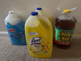 Pinesol Lysol & Windex Bulk Cleaning Supplies