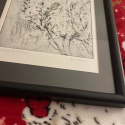 Picture Colectible