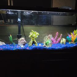 Fish Tanks Aquariums Ponds Stands And More 