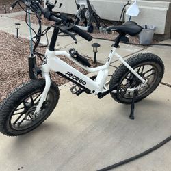 Electric Bike