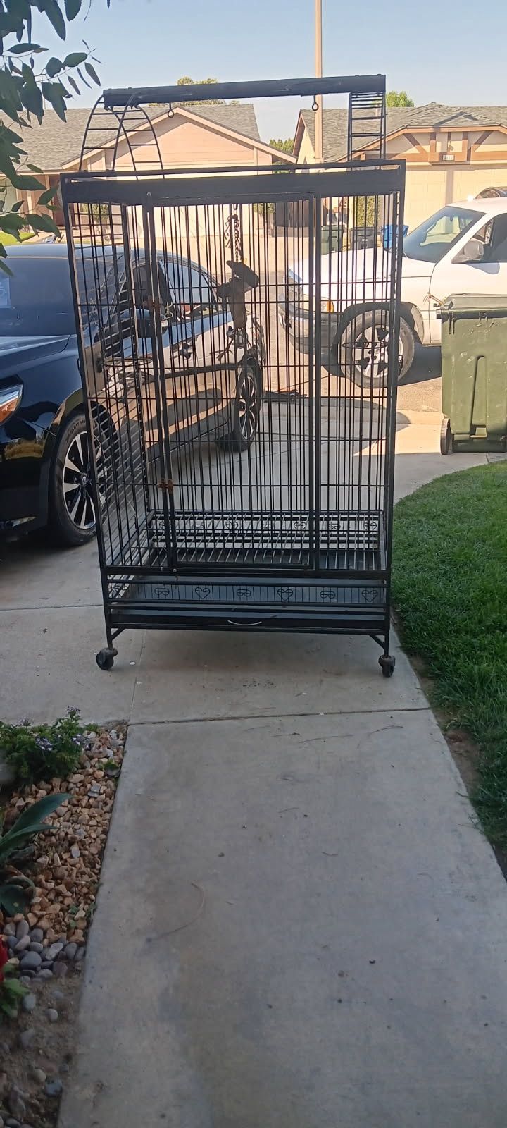 Bird Cage