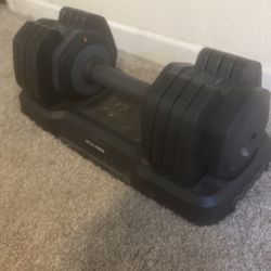Single Weight Dumbbell 