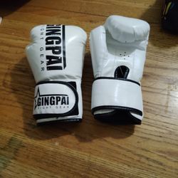 Boxing Gloves 