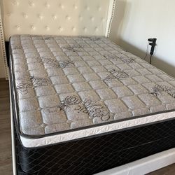 Queen Bed And Mattress