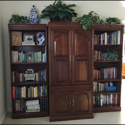 Media Cabinet with shelf unit