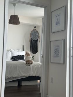 Queen bed with platform frame