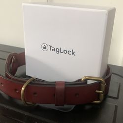 Leather Dog Collar with Smart Tracking