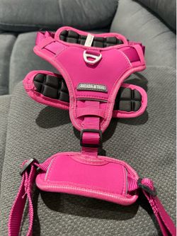 Small dog harness