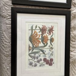 Framed Botanical Art-2 Pieces