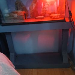 Reptile Tank And Stand
