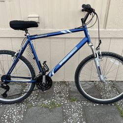 big bike evryting work good tires size 26”