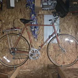 Older Schwin Perfect Condition 