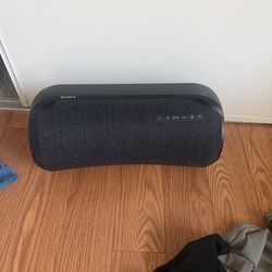 Sony speaker