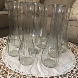 Eleven Clear Vases