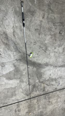 Lews Spinning Rod New