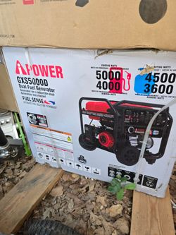 Duel fuel generator