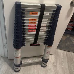 Xtend+Climb Pro Series 785P+ telescoping ladder. 