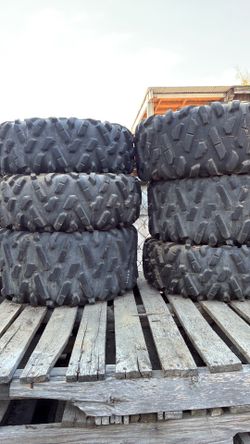 Maxxis big horn