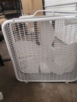 Fan