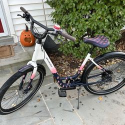 Specialized Bike- Lobster Roll