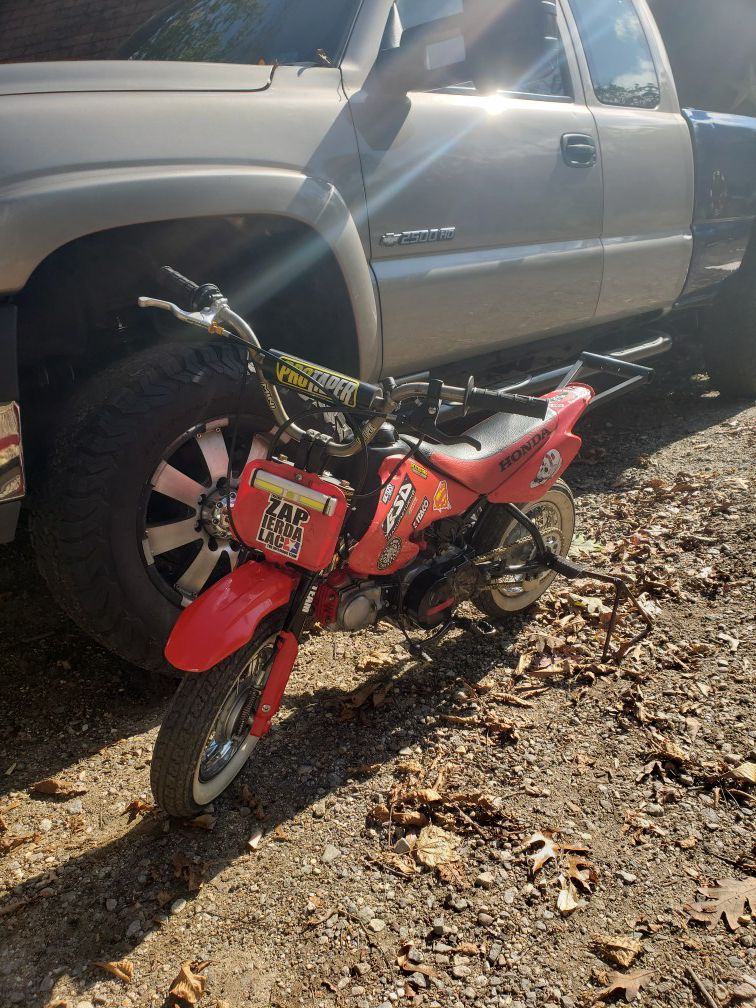 Fully stunted out xr 50