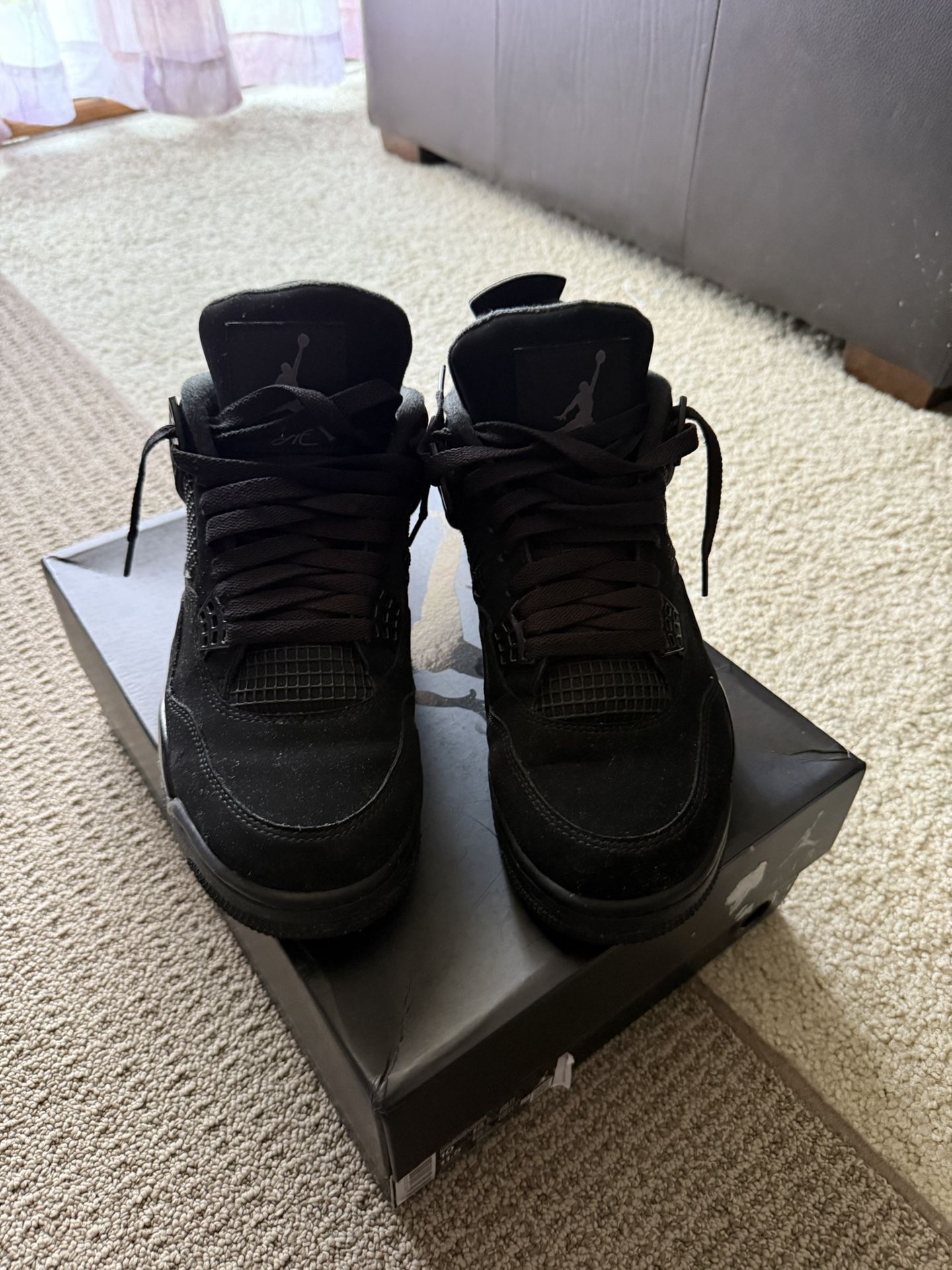 Black Cats