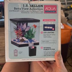 Betta fish Aquarium
