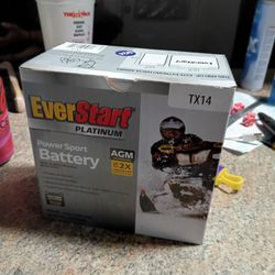 Everstart Battery  Tx14