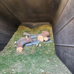 Pine Mulch And Pine Trunks