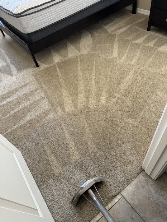 Carpet * Rug * Couch * Cleaning