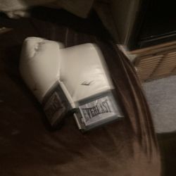 Brand New Everlast 12 Oz Boxing Gloves