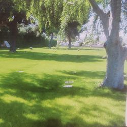 2 Cemetery plots at Resthaven Park East