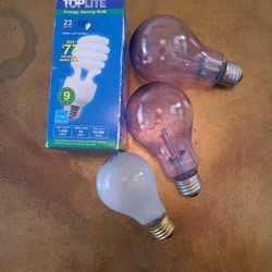 Light Bulbs 