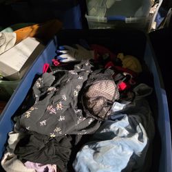 Lot of pre owned clothes designer and average starting $1 a piece