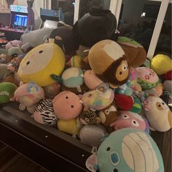 Lot Of SquishMallows 