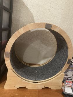 Small Cat Wheel