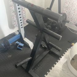 Olympic commercial weight rack weight tree