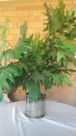 18" fake plan with stainless steel pot