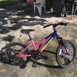 20” GIRLS BIKE EN MUY BUENAS CONDICIONES 