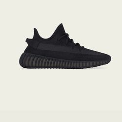 Size 10 Yeezy V2 Onyx
