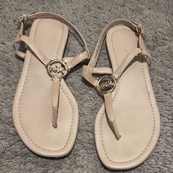 Coach 6.5