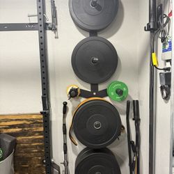 PRX Wall Mounted Weight Rack