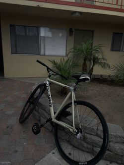 Tsunami fixi