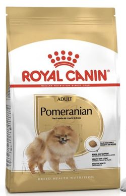 Pomeranian 